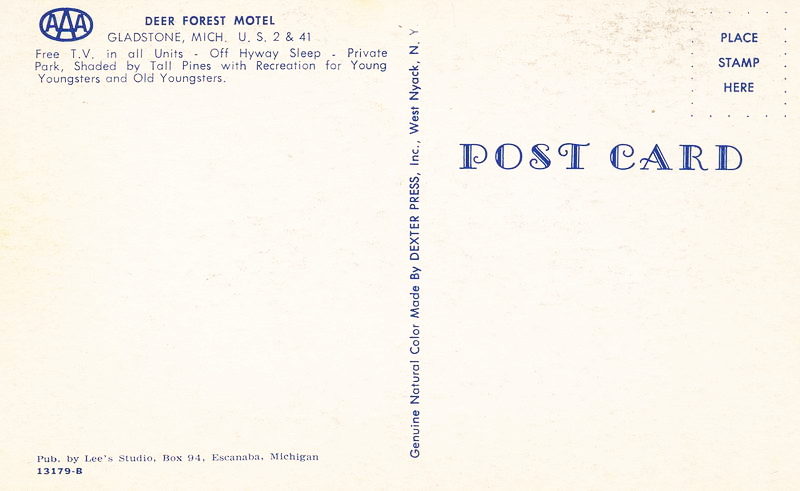 Deer Forest Motel (Sleepy Hollow Motel) - Vintage Postcard (newer photo)